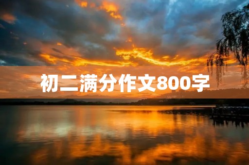 初二满分作文800字