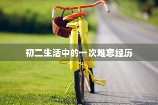 初二生活中的一次难忘经历