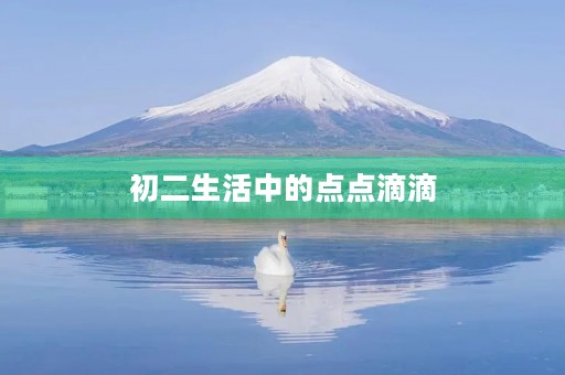 初二生活中的点点滴滴 初二生活中的点点滴滴