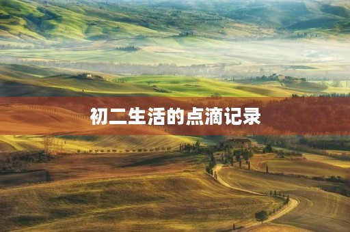 初二生活的点滴记录