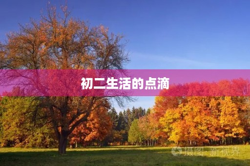 初二生活的点滴 初二生活的点滴
