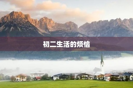 初二生活的烦恼 初二生活的烦恼