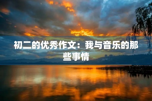 初二的优秀作文：我与音乐的那些事情