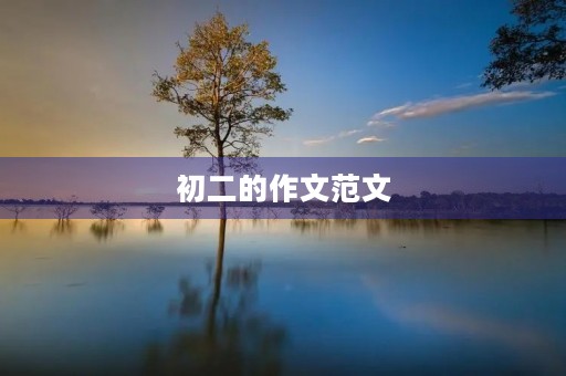 初二的作文范文 初二的作文范文