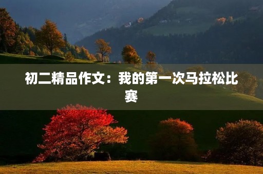 初二精品作文：我的第一次马拉松比赛