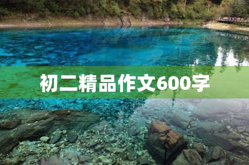 初二精品作文600字 初二精品作文600字
