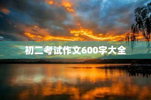 初二考试作文600字大全
