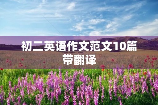 初二英语作文范文10篇带翻译