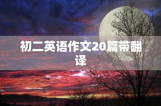 初二英语作文20篇带翻译