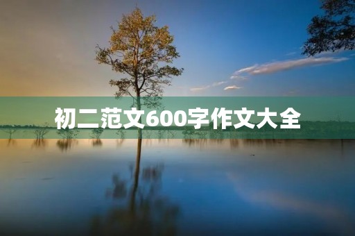 初二范文600字作文大全