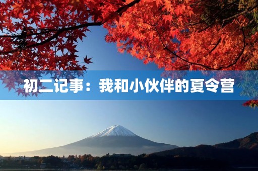 初二记事：我和小伙伴的夏令营