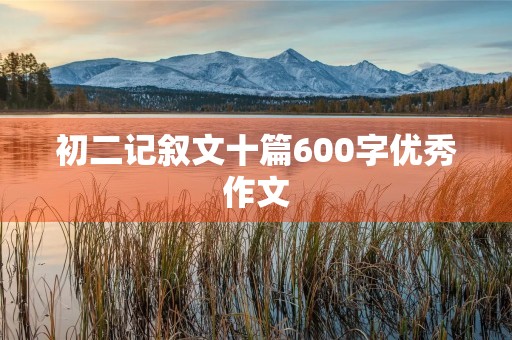 初二记叙文十篇600字优秀作文