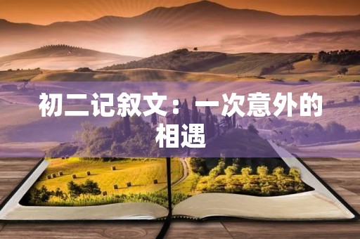 初二记叙文：一次意外的相遇