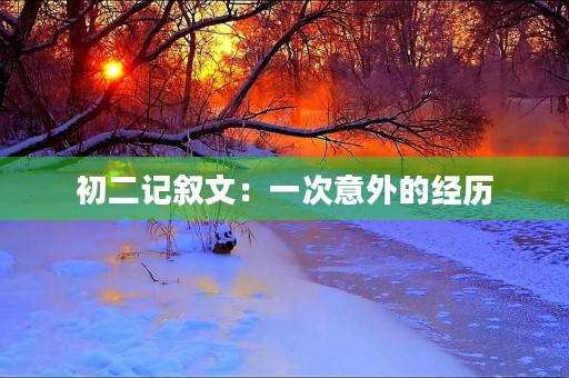 初二记叙文：一次意外的经历