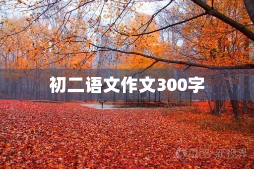 初二语文作文300字