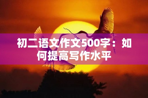 初二语文作文500字：如何提高写作水平