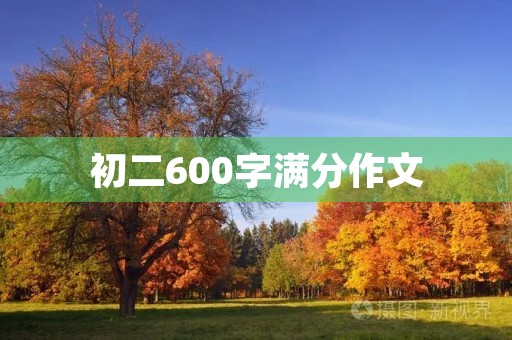初二600字满分作文 初二600字满分作文