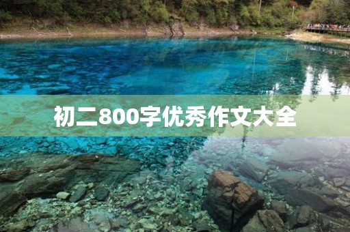 初二800字优秀作文大全 初二800字优秀作文大全