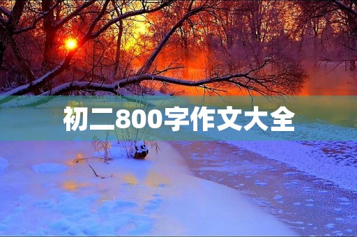初二800字作文大全 初二800字作文大全