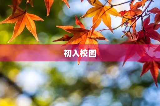 初入校园,开学第一天的感悟 初入校园,开学第一天的感悟