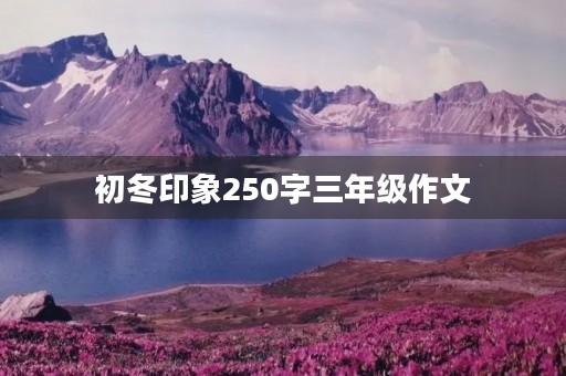 初冬印象250字三年级作文