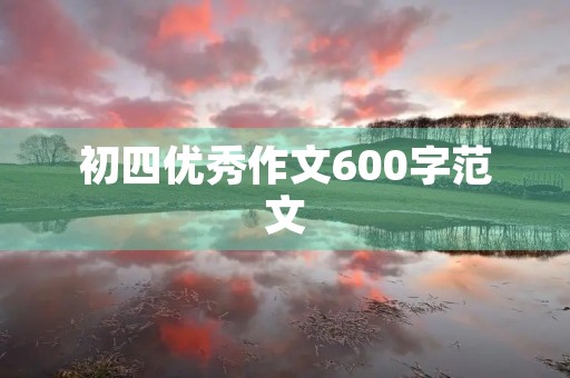 初四优秀作文600字范文