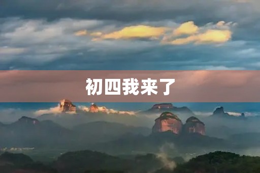 初四我来了 初四我来了
