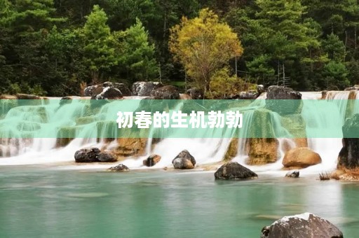 初春的生机勃勃