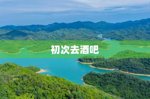 初次去酒吧,我学到的不仅仅是喝酒 初次去酒吧,我学到的不仅仅是喝酒