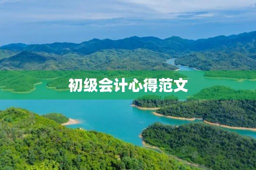 初级会计心得范文