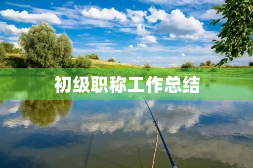 初级职称工作总结