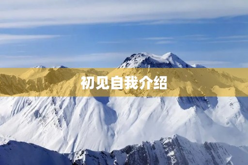 初见自我介绍