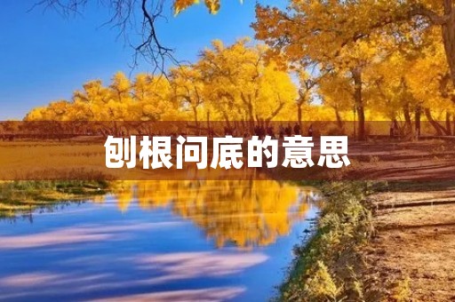 刨根问底的意思(刨根问底拼音)
