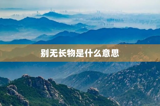 别无长物是什么意思