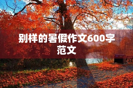 别样的暑假作文600字范文 别样的暑假作文600字范文
