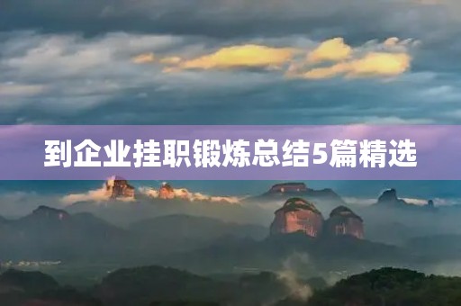 到企业挂职锻炼总结5篇精选 到企业挂职锻炼总结5篇精选