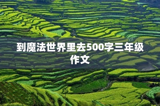 到魔法世界里去500字三年级作文