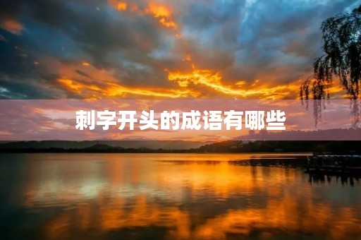 刺字开头的成语有哪些