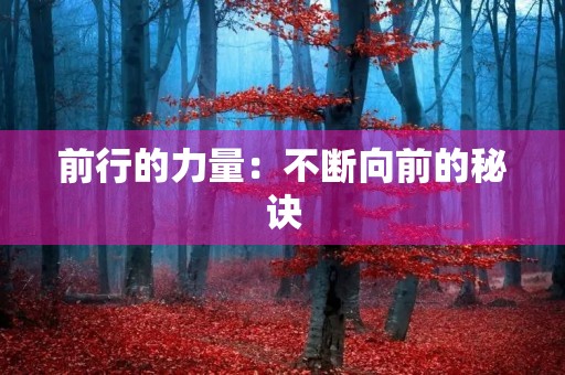前行的力量：不断向前的秘诀