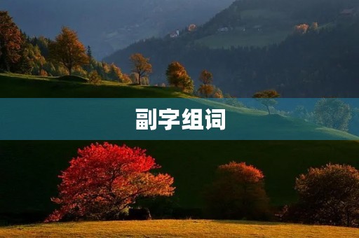 副字组词(副组词)