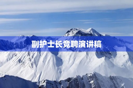 副护士长竞聘演讲稿