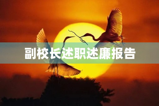 副校长述职述廉报告