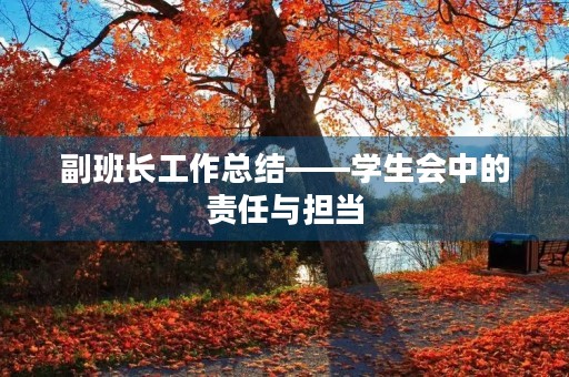 副班长工作总结——学生会中的责任与担当
