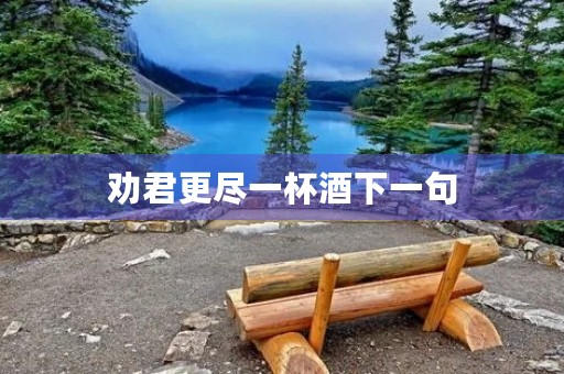 劝君更尽一杯酒下一句，劝君更尽一杯酒下一句的诗句是什么