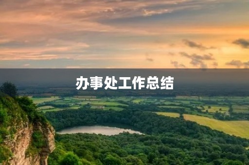 办事处工作总结