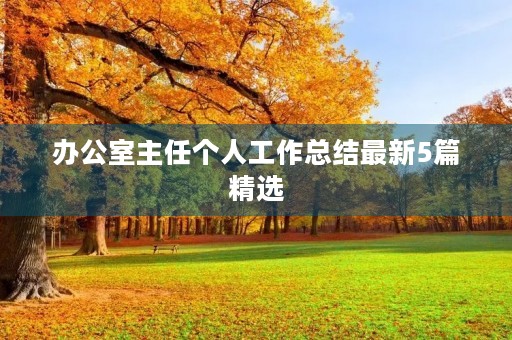 办公室主任个人工作总结最新5篇精选