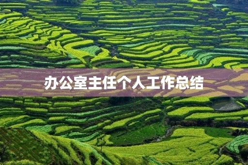 办公室主任个人工作总结