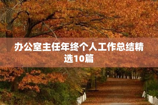 办公室主任年终个人工作总结精选10篇