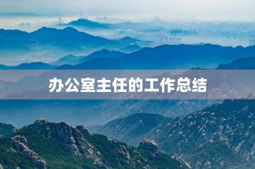 办公室主任的工作总结