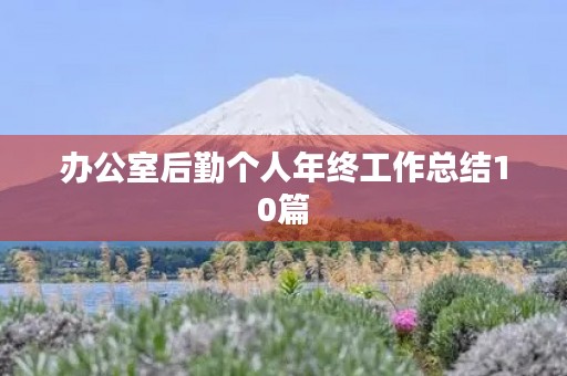 办公室后勤个人年终工作总结10篇